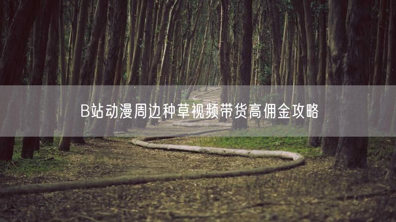 B站动漫周边种草视频带货高佣金攻略