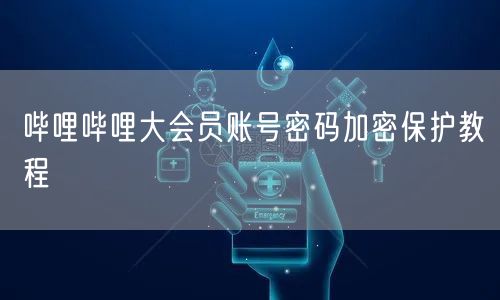 哔哩哔哩大会员账号密码加密保护教程