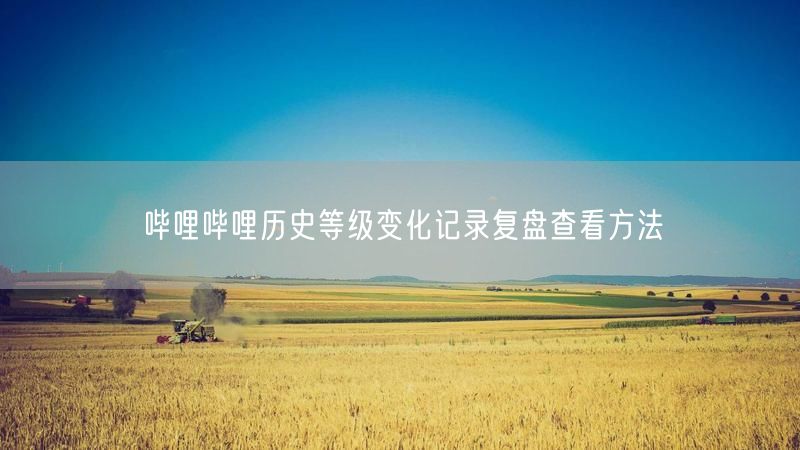 哔哩哔哩历史等级变化记录复盘查看方法