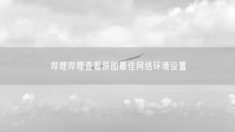 哔哩哔哩查看原图最佳网络环境设置