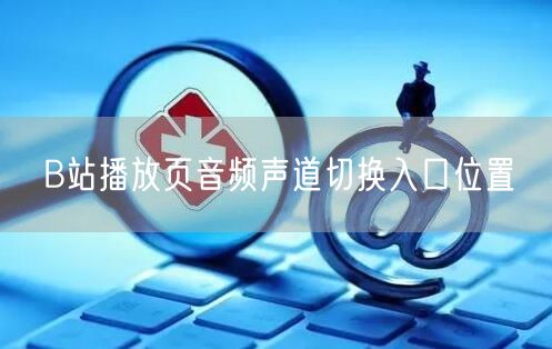 B站播放页音频声道切换入口位置