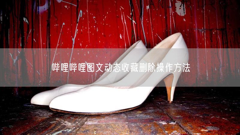 哔哩哔哩图文动态收藏删除操作方法