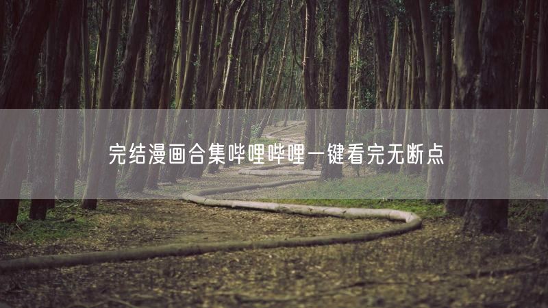 完结漫画合集哔哩哔哩一键看完无断点