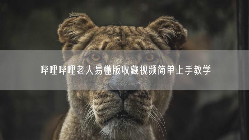哔哩哔哩老人易懂版收藏视频简单上手教学