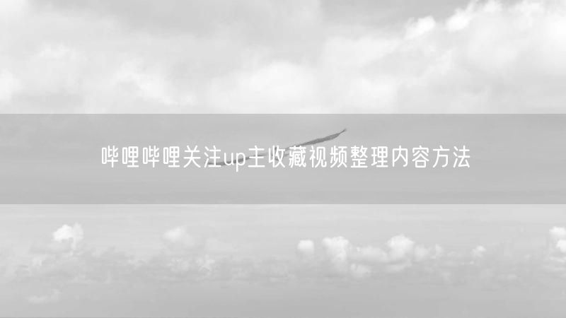 哔哩哔哩关注up主收藏视频整理内容方法