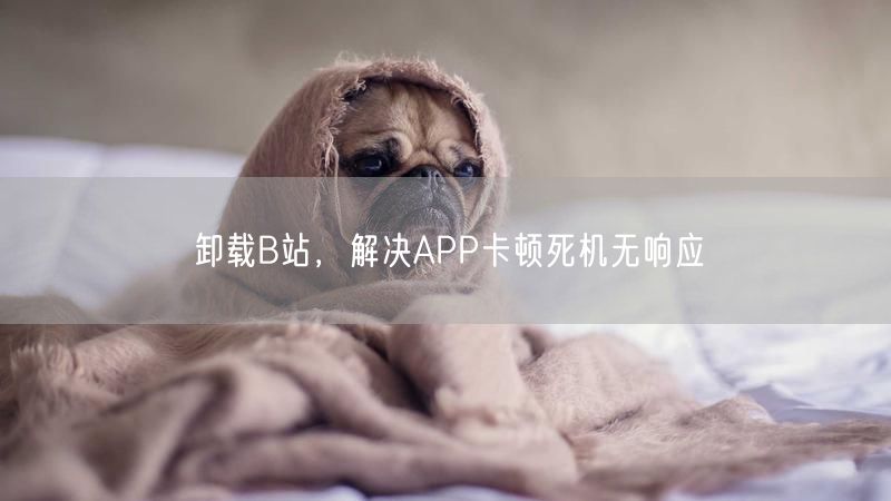 卸载B站，解决APP卡顿死机无响应