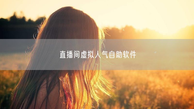 直播间虚拟人气自助软件