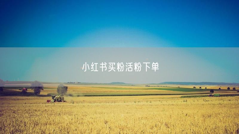 小红书买粉活粉下单
