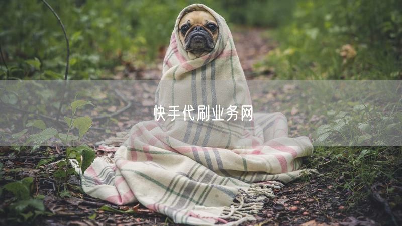快手代刷业务网