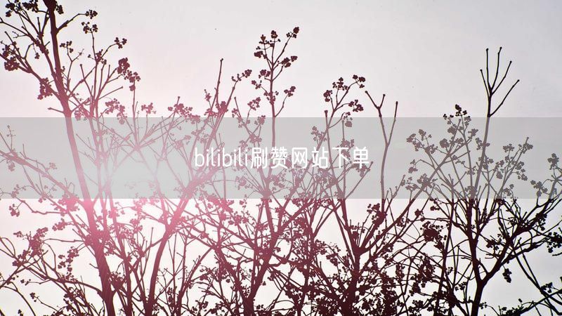 bilibili刷赞网站下单