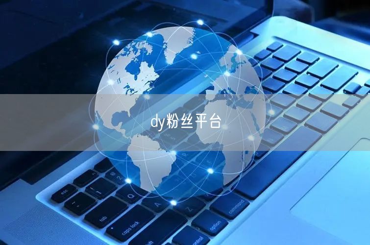 dy粉丝平台
