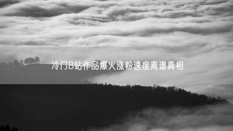 冷门B站作品爆火涨粉速度离谱真相