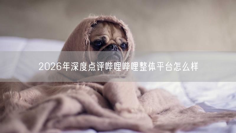 2026年深度点评哔哩哔哩整体平台怎么样