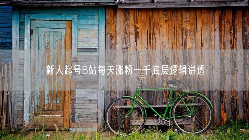 新人起号B站每天涨粉一千底层逻辑讲透