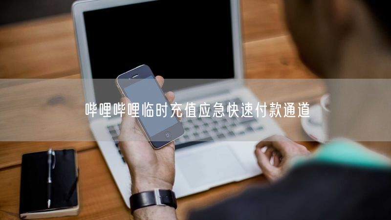 哔哩哔哩临时充值应急快速付款通道