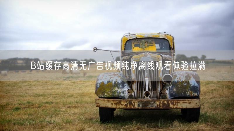B站缓存高清无广告视频纯净离线观看体验拉满
