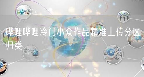 哔哩哔哩冷门小众作品精准上传分区归类