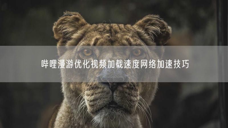 哔哩漫游优化视频加载速度网络加速技巧