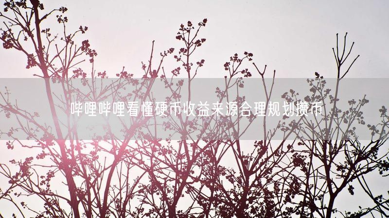 哔哩哔哩看懂硬币收益来源合理规划攒币