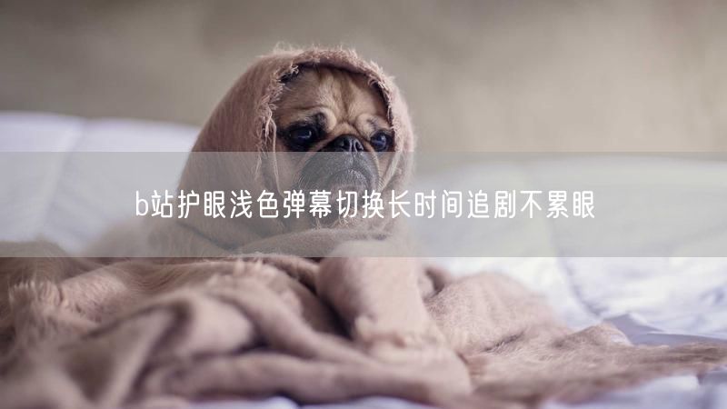 b站护眼浅色弹幕切换长时间追剧不累眼