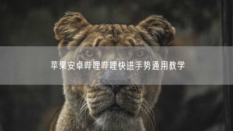 苹果安卓哔哩哔哩快进手势通用教学