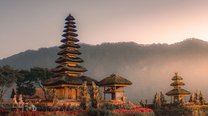 百家号快速增加粉丝打造个人IP强化吸引力