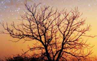 抖音自助下单首选平台：全天候低价保障服务!