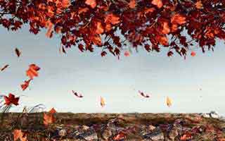 公众号刷粉1575769Z空间