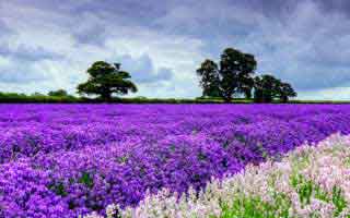 粉丝疯狂增长!我的微博涨粉经验分享!,**微博涨粉经验分享:如何吸引更多粉丝关注**!