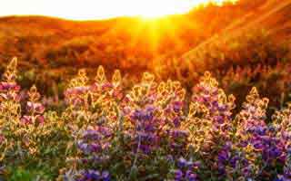 小红书刷粉下单