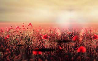 粉丝型店铺淘宝,淘宝粉丝型店铺：打造独特魅力吸引忠实粉丝!